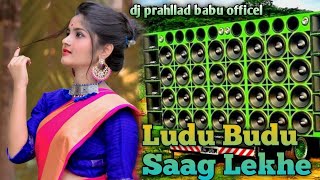 Ludu Budu Song Full Dance Mixing Robat Bass [upl. by Hunley919]