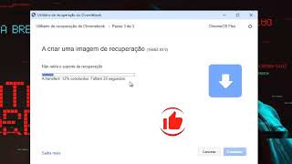 Instalar CHROME OS FLEX 2024 num pendrive [upl. by Allana]