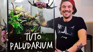 TUTO PALUDARIUM  UN PARADIS POUR MES CRABES VAMPIRES  TOOPET [upl. by Dickinson]