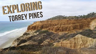 Exploring Torrey Pinestorreypines [upl. by Llednahc749]