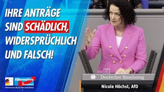 Ihre Anträge sind schädlich widersprüchlich und falsch  Nicole Höchst  AfDFraktion [upl. by Dalila]