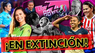 ¡HIPÓCRITAS SENADO OBLIGA A LA LIGA MX FEMENIL A PAGAR MAS A SUS JUGADORAS  Los Expulsados [upl. by Nikki]