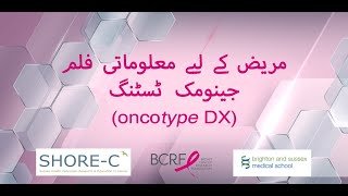 Understanding your Oncotype DX test result A short patient information film Urdu [upl. by Nylyahs920]