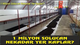 1 Milyon Solucan Ne kadar Yer Kaplar Sayısı Nasıl Hesaplanır [upl. by Wilma]