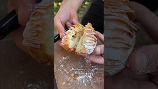 Sfogliatella test AGAIN [upl. by Bland616]