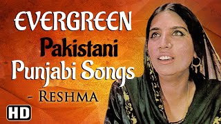 Reshma Songs Collection  Evergreen Pakistani Punjabi Sad Songs  Old Punjabi Song  Lambi Judai [upl. by Kanter]