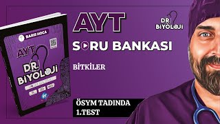 AYT Biyoloji Soru Bankası  Bitkiler ÖSYM Tadında 1 Test  DrBiyoloji  2025tayfa [upl. by Grube]