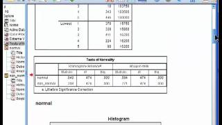 Testing Distributions for Normality  SPSS part 2 [upl. by Charbonnier]