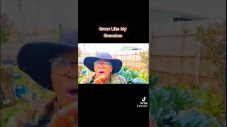 Growing Like My Grandmama zone9 youtubeshorts neworleans growingforfood [upl. by Blaze]