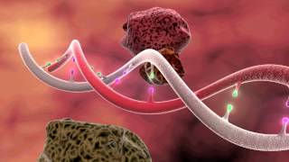 DNA Mutation 3D Animation [upl. by Osbourne]