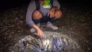 4 hari berburu 100 pancing dirawa gunung amp pantai dapat banyak ikan buat orang baru lahiran KOOKIKO [upl. by Lenor]