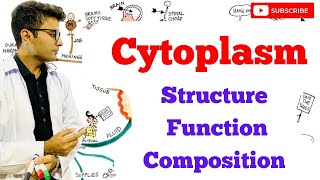 Cytoplasm  Structure  Composition  Function [upl. by Annairdna]