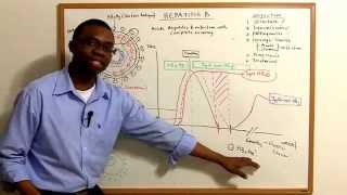 Hepatitis B Infections Pathophysiology made simple [upl. by Ocsirf371]