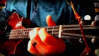 The Old Maid of Galway solo mandola [upl. by Atiuqaj787]