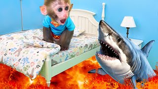 Monkey Baby Bon Bon goes shark fishing and eats watermelon and ducklings in the garden [upl. by Kuhlman]