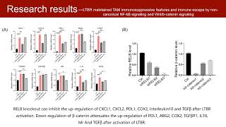 iMeta  LTBR as a immune checkpoint of tumorassociated macrophages for cancer immunotherapy [upl. by Akkina]