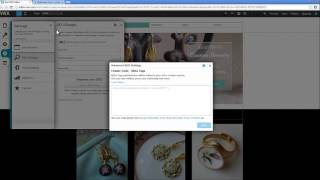 How to add Header Code Meta Tag Wix com [upl. by Adnyc]