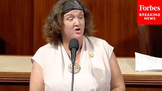 Katie Porter Does Pirate Impression On House Floor To Promote AntiPorch Pirate Legislation [upl. by Brine]