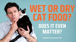 Should I feed wet or dry food to a cat [upl. by Narak]