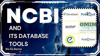 what is NCBI and its databases tools  genbank  pubchem  pubmed entrez  nucseq  peptide seq [upl. by Gilbertson]