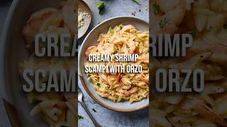 Creamy Shrimp Scampi with Orzo [upl. by Ennasor]