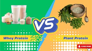 WHEY VS PLANT PROTEIN Which Is BEST For YOU [upl. by Kraft]