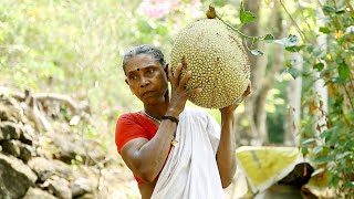 Kerala Traditional Style Jackfruit Recipe [upl. by Moreen612]