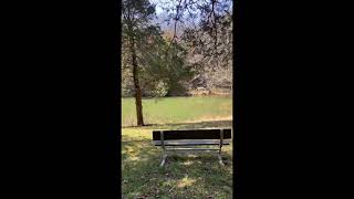 Nursery Loop trail at Bernheim Arboretum and Research Forest [upl. by Ramuk]