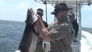 Cobia and Red Snapper fishing in South Walton Beach on Bass 2 Billfish [upl. by Lunsford]