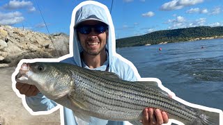 Striped Bass Fishing  A Rig  Eufaula Lake Dam [upl. by Nnairb379]