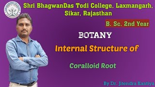 B Sc 2nd YearBotanyInt Str of Coralloid RootDr Jitendra KantiyaShri BhagwanDas Todi College [upl. by Eisset442]