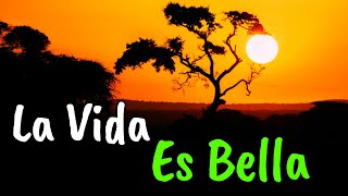 Ama La Vida y La Vida Te Amará ¦ Gratitud Frases Reflexiones Motivación [upl. by Darahs996]