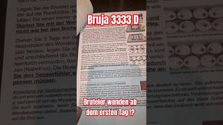 Bruja 3333 D  Bruteier wenden ab dem ersten Tag [upl. by Avelin]