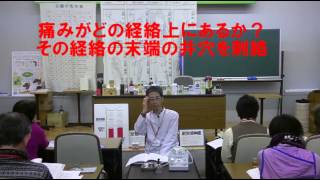 ぎんなん治療院 帯状疱疹の治療法 自律神経 体性神経 [upl. by Rothberg]