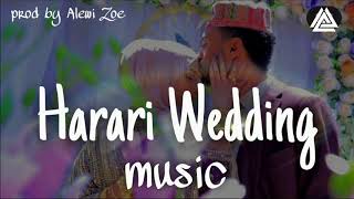 Harari Wedding Song Shahan Ethiopian Music [upl. by Wynn]