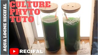 Comment Faire sa Culture de Phytoplancton 🔔 tuto 🔔 [upl. by Batholomew]