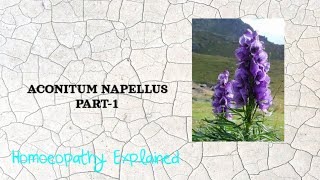 Aconitum Napellus part1 Homoeopathic materia medica hmm bhms [upl. by Cowen]