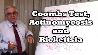 Coombs Test Actinomycosis and Rickettsia [upl. by Mulry]