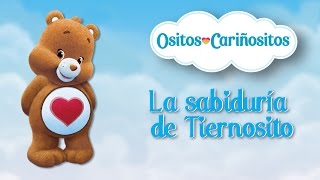 Ositos Cariñositos amp Primos  La sabiduría de Tiernosito [upl. by Neelac874]