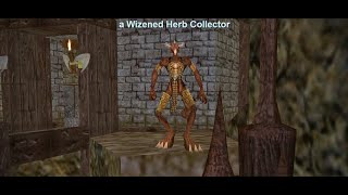 Druid Solos Wizened Herb Collector Chardok Project 1999 EverQuest [upl. by Ulises]