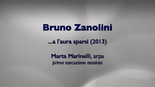 Bruno Zanolini quot a laura sparsiquot 2013 [upl. by Aserehs]