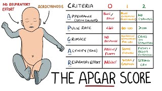 APGAR Score Made Easy  Newborn Assessment APGAR Mnemonic [upl. by Mildrid]