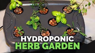 Hydroponic Herb Garden Guide [upl. by Ljoka]