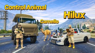 Usamos Mi Hilux Para Arrebatar Los Camellos A Control Animal Gta Rp [upl. by Stodder]