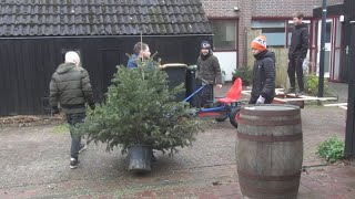 Firma Kerstboom in Waldervaart Schagen [upl. by Assirim]