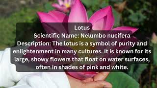 Top 5 Amazing Flowers in the World  Beautiful Blossoms You Must See [upl. by Yerot]