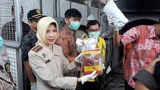 Jambu Berserangga Asal Thailand Keju Mozarela hingga Benih Anggrek Impor Dibakar di Bandara Soetta [upl. by Bega]