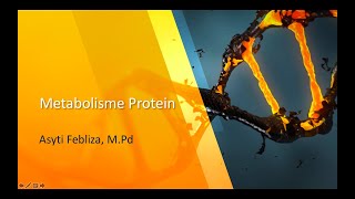 Metabolisme Protein [upl. by Venus]