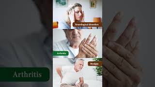 Benefits of Elakizhi  Kerala Ayurvedic Massage  Kottakkal Ayurveda Dubai Ajman [upl. by Ydissak]