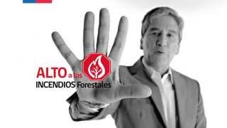 Campaña Alto a los Incendios Forestales [upl. by Esaertal830]